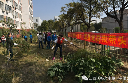 我是党员我带头-美化环境义务除草主题党日活动